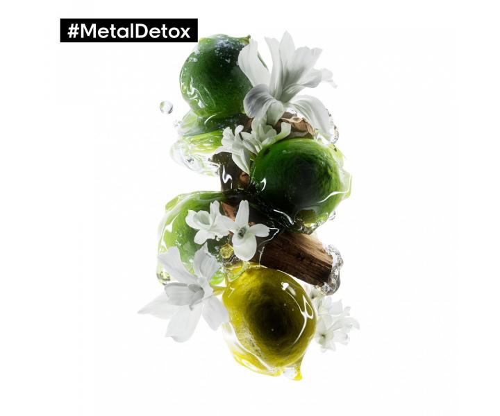 Rad pre farben a pokoden vlasy LOral Professionnel Serie Expert Metal Detox