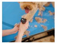 Profesion�lny stroj�ek na srs� Wahl Professional KM Supera Cordless Animal Clipper 1263-0471