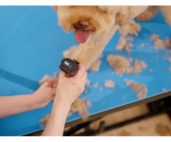 Profesion�lny stroj�ek na srs� Wahl Professional KM Supera Cordless Animal Clipper 1263-0471