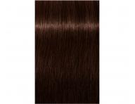 Farba na vlasy Schwarzkopf Professional Igora Royal 60 ml - 3-68 tmavo hned okoldovo erven