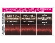 Peliv bez amoniaku Loral Casting Crme Gloss - 460 jahodov