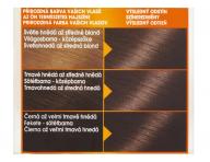 Permanentn� farba Garnier Color Naturals 6.00 tmav� blond