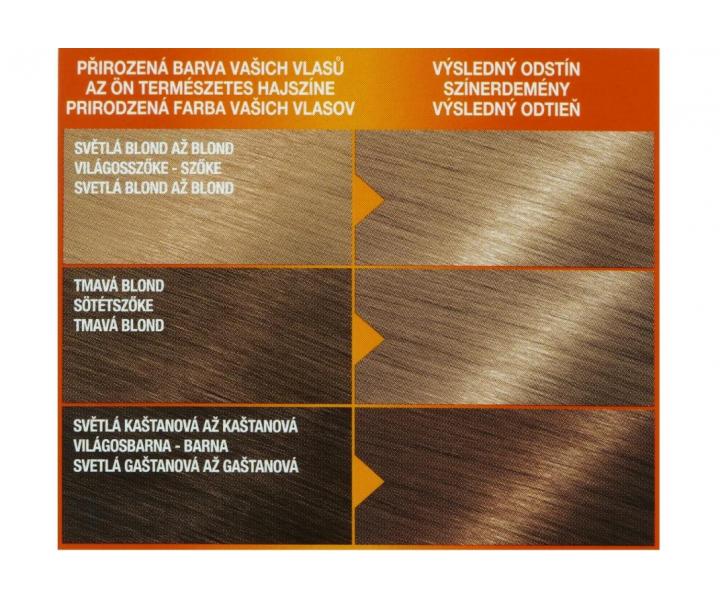 Permanentn farba Garnier Color Naturals 8.1 svetl blond popolav