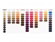 Farbiaca vyivujca maska Inebrya Kromask Silver - 250 ml, strieborn