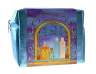 Darekov sada na regenerciu suchch vlasov Moroccanoil A Window to Repair