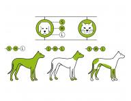 Profesionlny strojek na srs Wahl Rex 1230-0477 - ierny