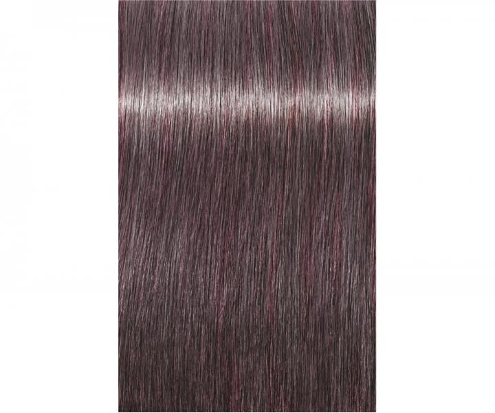 Farba na vlasy Schwarzkopf Professional Igora Royal 60 ml - 8-19 svetl blond popolav fialov