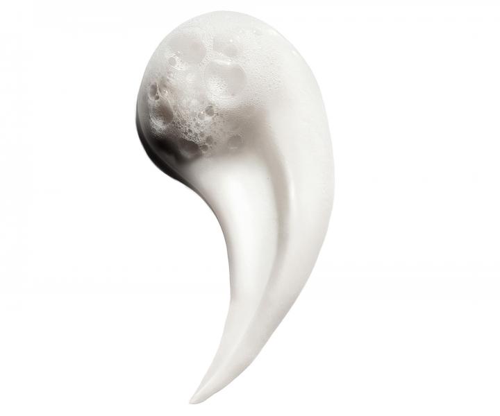 Rad pre farben a pokoden vlasy LOral Professionnel Serie Expert Metal Detox