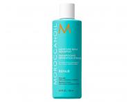 Darekov sada na regenerciu vlasov Moroccanoil Repair Spring Box