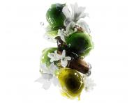 Maska pre farben� a po�koden� vlasy Lor�al Professionnel Serie Expert Metal Detox - 250 ml