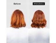 Rad pre farbené a poškodené vlasy L’Oréal Professionnel Serie Expert Metal Detox