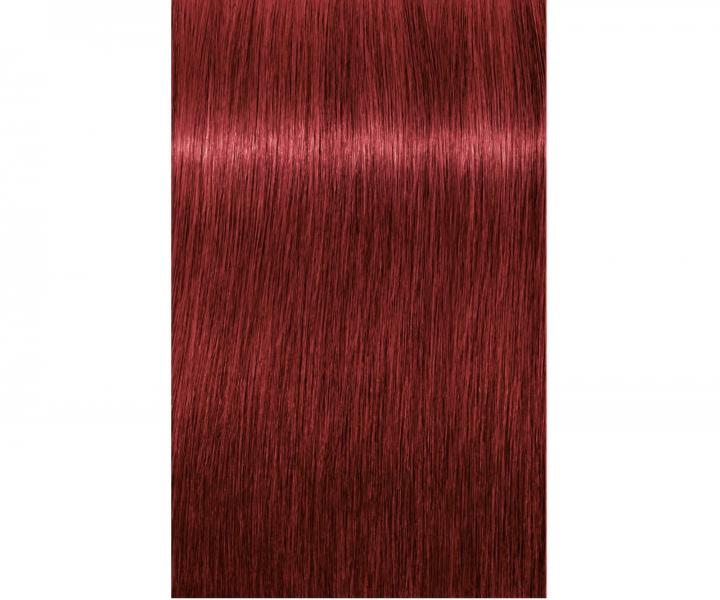 Farba na vlasy Schwarzkopf Professional Igora Royal 60 ml - 6-88 tmav blond erven extra