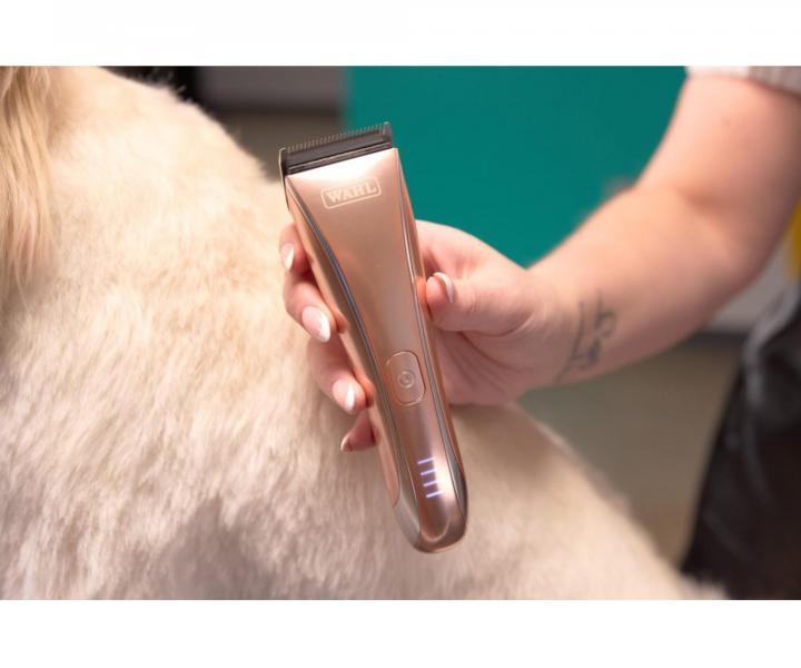 Profesion�lny stroj�ek na srs� Wahl Motiva 2 3028118 - bronzov�