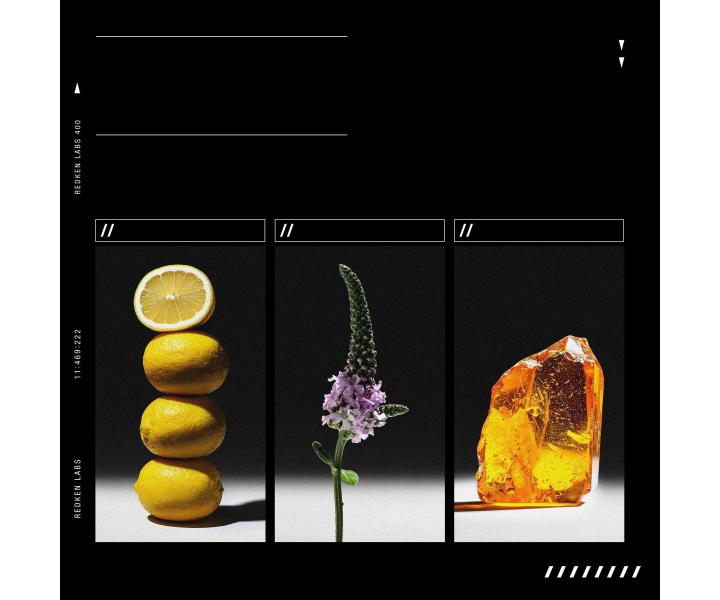 �amp�n pre hustotu a objem jemn�ch, z�ahnut�ch a norm�lnych vlasov Redken Acidic Grow Full System Shampoo - 300 ml