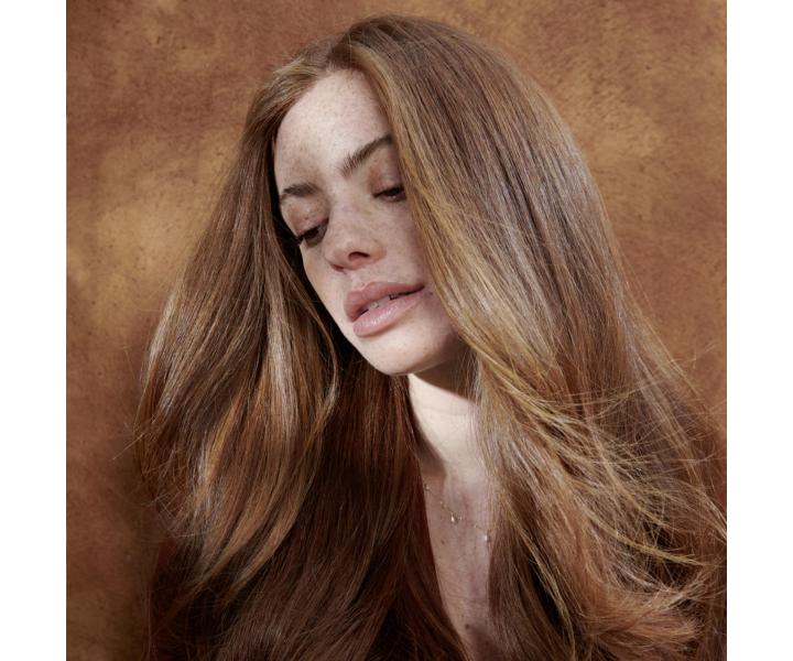 Maska pre vemi pokoden vlasy Garnier Botanic Therapy Hair Remedy Honey Treasures - 340 ml