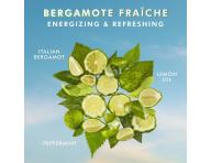 Hydrata�n� telov� mlieko Moroccanoil Body Lotion Bergamote Fraiche - citrusy a m�ta, 360 ml