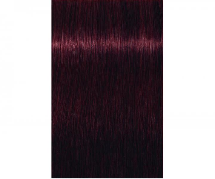 Farba na vlasy Schwarzkopf Professional Igora Royal 60 ml - 4-99 stredne hned extra fialov