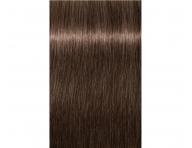 Farba na vlasy Schwarzkopf Professional Igora Royal 60 ml - 6-46 tmav blond bov okoldov