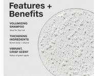 �amp�n pre objem vlasov Paul Mitchell Volume Extra-Body