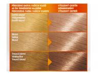 Permanentn farba Garnier Color Naturals 9N svetl blond