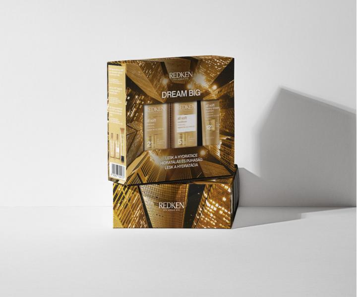 Vy�ivuj�ca dar�ekov� sada pre such� a krehk� vlasy Redken All Soft Dream Big