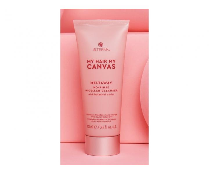 Bezoplachov� �istiaci �amp�n Alterna My Hair. My Canvas. Meltaway Micellar Cleanser - 101 ml