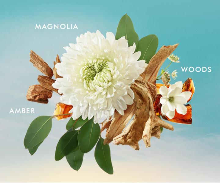 Darekov sada telovej kozmetiky Moroccanoil Nourishing Body Care Duo Fragrance Originale