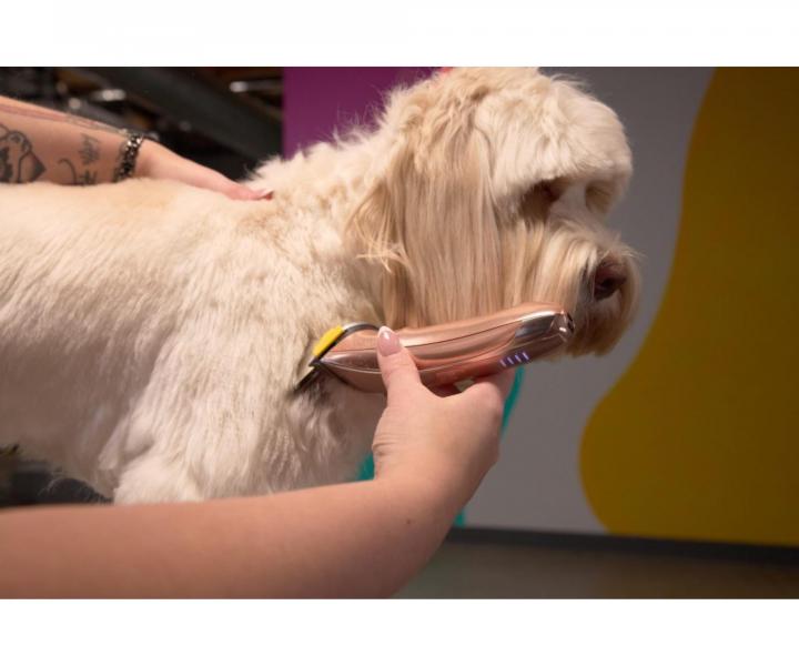 Profesion�lny stroj�ek na srs� Wahl Motiva 2 3028118 - bronzov�