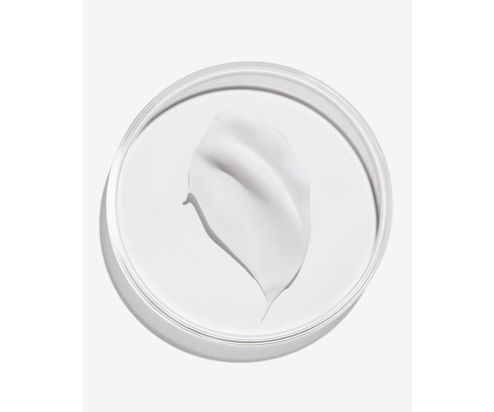 Rad pre krepat a nepoddajn vlasy Redken Frizz Dismiss