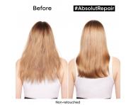 ampn pre such a pokoden vlasy Loral Professionnel Serie Expert Absolut Repair - 300 ml