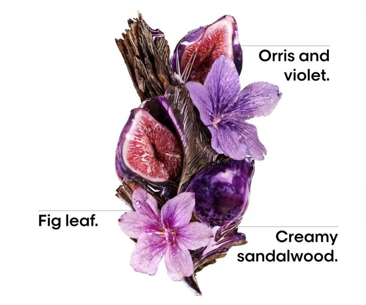 Rad pre uhladenie krepat�ch vlasov Lor�al Professionnel Serie Expert Keratin Alpha Sleek