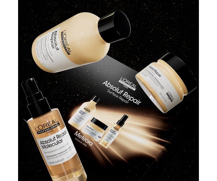 Rad pre such a pokoden vlasy LOral Professionnel Serie Expert Absolut Repair