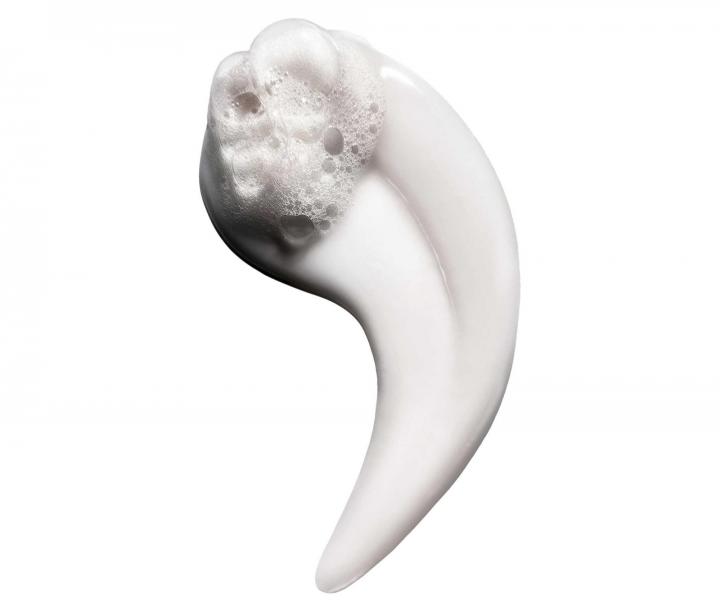 Rad pre uhladenie krepat�ch vlasov Lor�al Professionnel Serie Expert Keratin Alpha Sleek