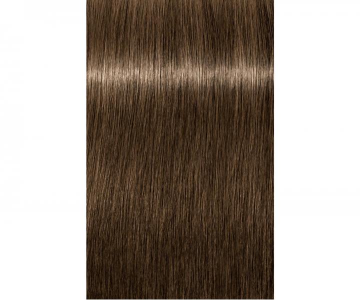 Farba na vlasy Schwarzkopf Professional Igora Royal 60 ml - 6-0 prrodn tmav blond