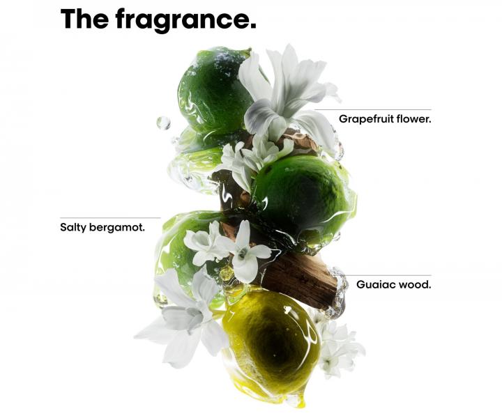 Cestovn� sada pre farben� a po�koden� vlasy Lor�al Professionnel S�ria Expert Metal Detox Mini Trio Kit