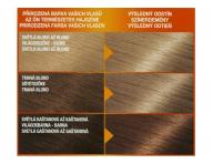 Permanentn farba Garnier Color Naturals 8.1 svetl blond popolav