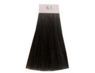 Farba na vlasy Lor�al Inoa 2 60 g - odtie� 6,1 blond tmav� popolav�