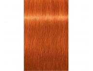 Farba na vlasy Schwarzkopf Professional Igora Royal 60 ml - 8-77 svetl blond meden extra