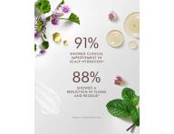 Rad pre zdrav pokoku hlavy Moroccanoil Scalp