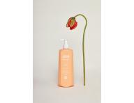 Maska s kyslm pH na farben vlasy Mila Professional Be Eco Vivid Colors Mask - 900 ml - expircia 12/2025