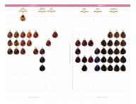 Farba na vlasy Selective Professional ColorEvo Beyond Color 100 ml - 2.0 ve�mi tmavo hned�
