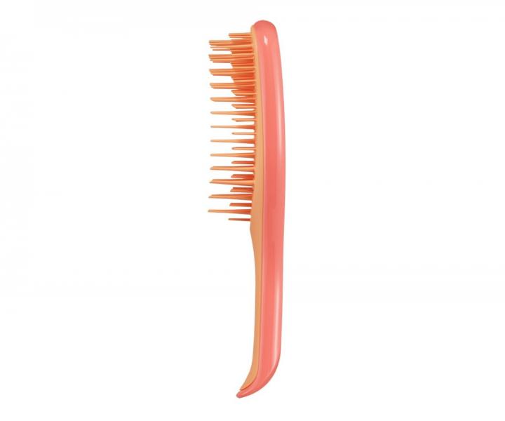 Cestovn kefa Tangle Teezer Ultimate Detangler Mini