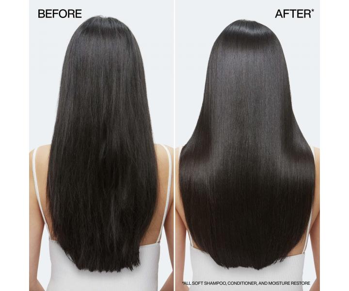 Vyivujca darekov sada pre such a krehk vlasy Redken All Soft