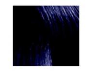 Preliv na vlasy Loral Diarichesse 50ml - odtie 2.10 ierno-modr