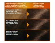 Permanentn� farba Garnier Color Naturals 6 tmav� blond