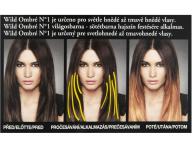 Sada pre ombr Loral Prfrence N1 Wild Ombr