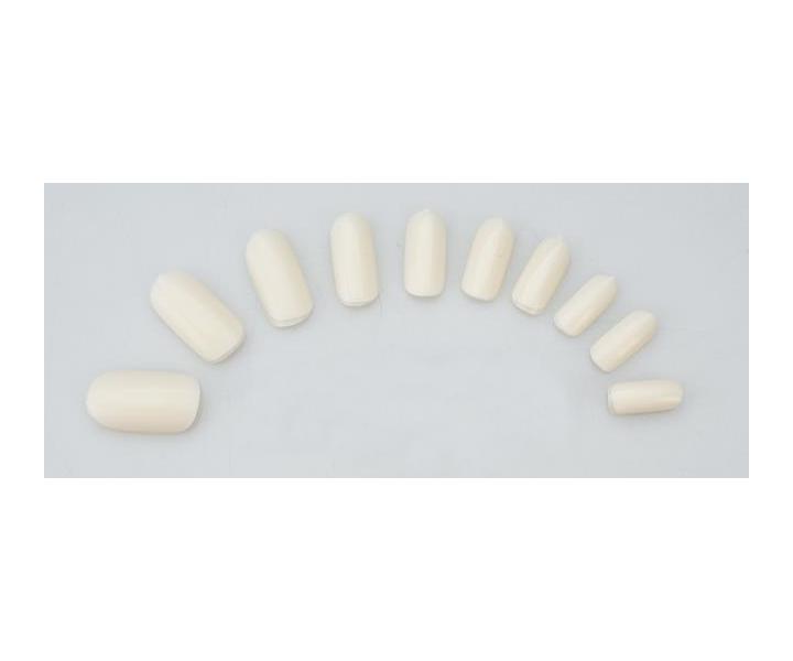 Cvi�n� ruky na manik�ru, Sibel