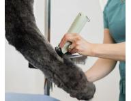 Profesion�lny stroj�ek na zvieraciu srs� Wahl Professional KMC+ Cord/Cordless Clipper - mentolovo zelen�