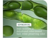 Kondicionr na farben vlasy Biolage Color Last Conditioner - 400 ml