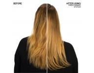 Rad pre krepat a nepoddajn vlasy Redken Frizz Dismiss